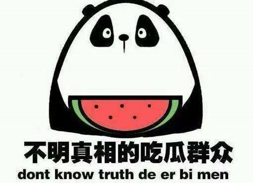 娱乐吃瓜圈,揭秘明星幕后故事与热点事件